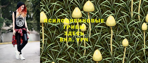 герыч Лагань