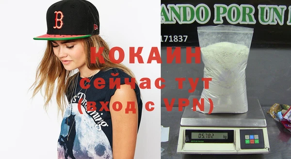 гидра Кукмор